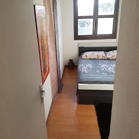 Appartement Blagnac * בלנאק